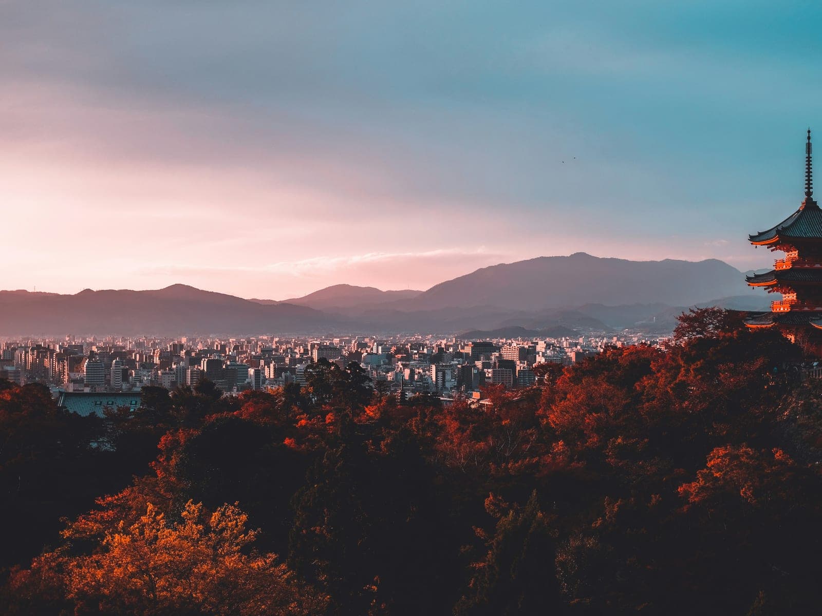 Photograph 1 of 14 of Tokyo