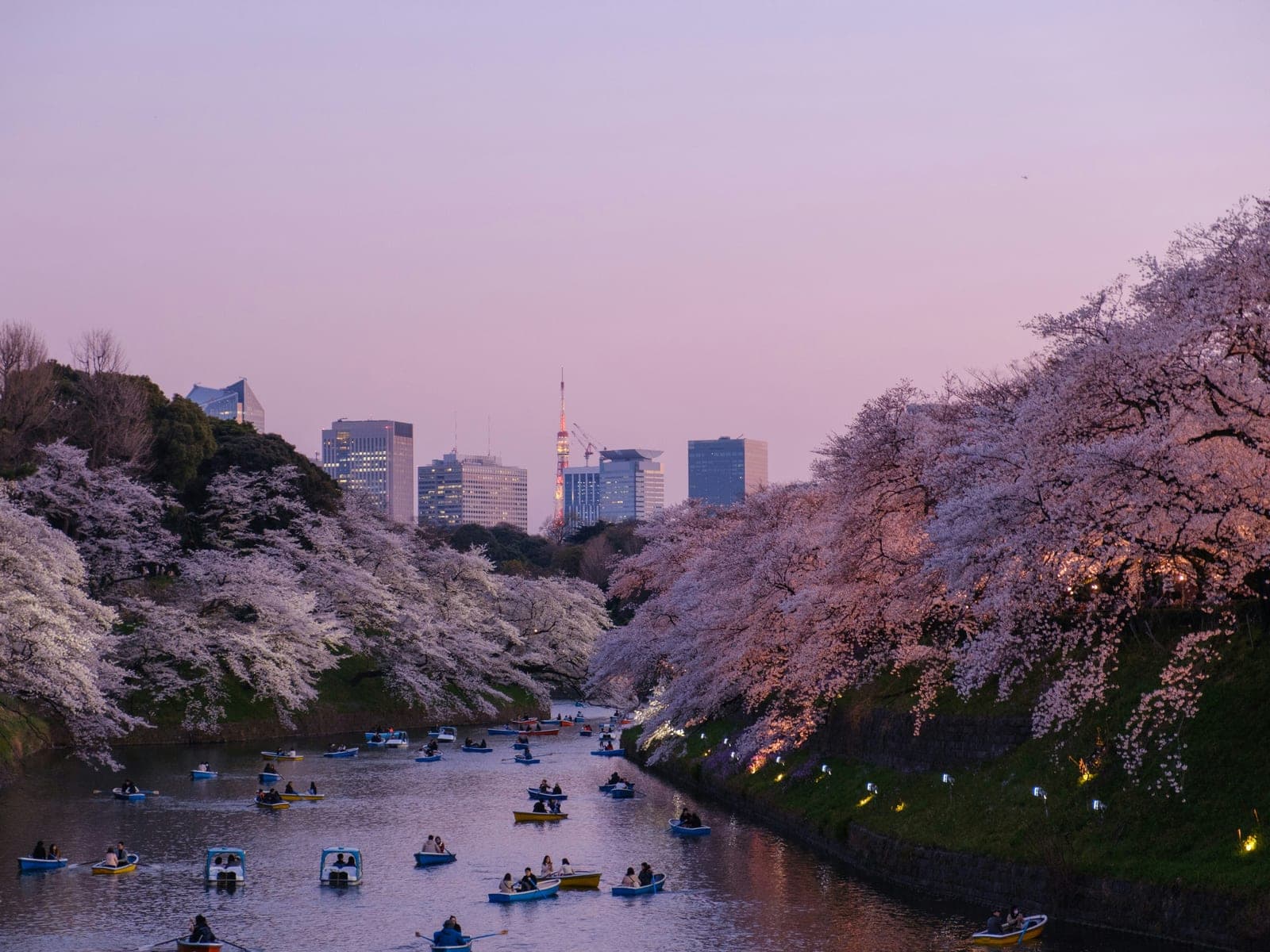 Photograph 2 of 14 of Tokyo