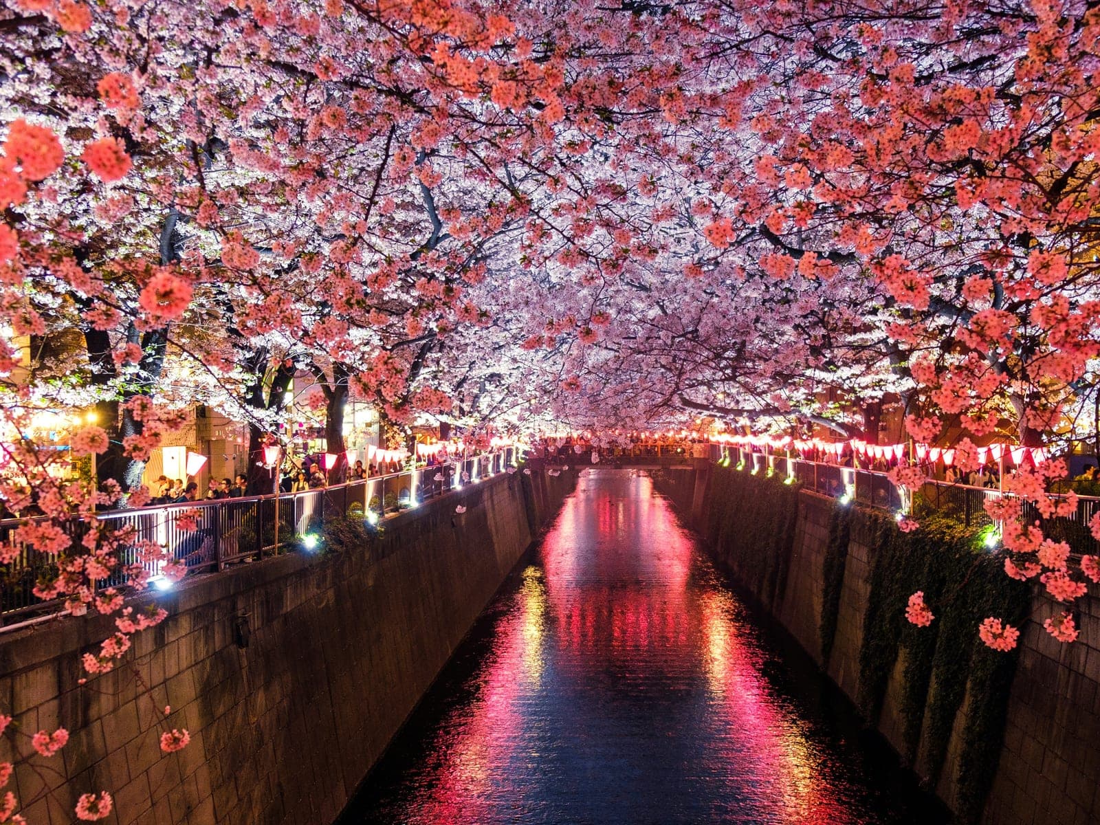 Photograph 4 of 14 of Tokyo