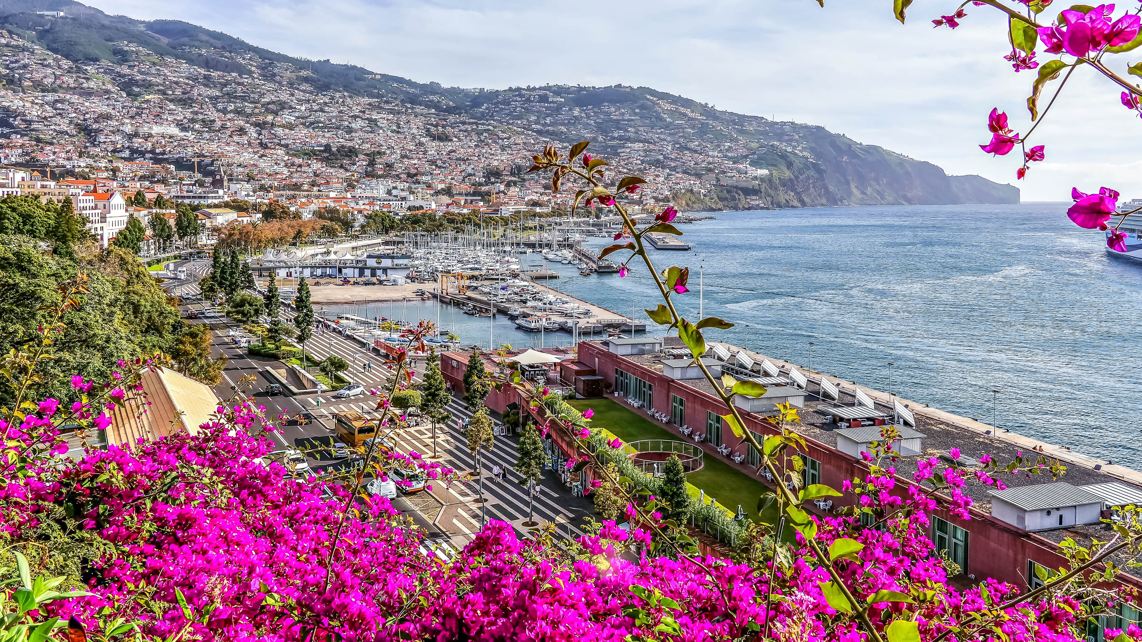 Photograph 1 of 3 of Funchal