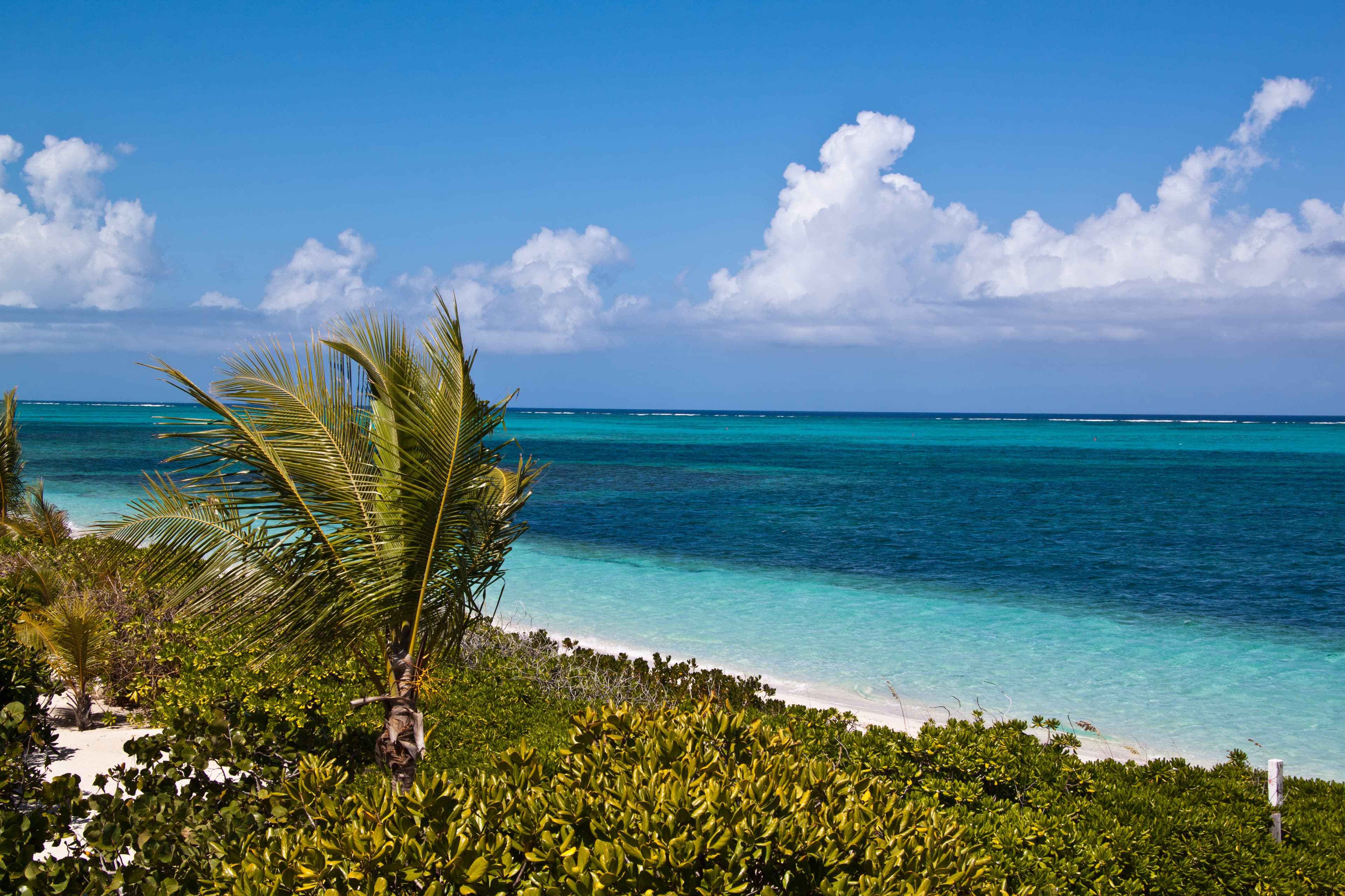 Photograph 1 of 1 of Providenciales